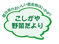 越谷産のおいしい農産物はいかが？こしがや野菜だより