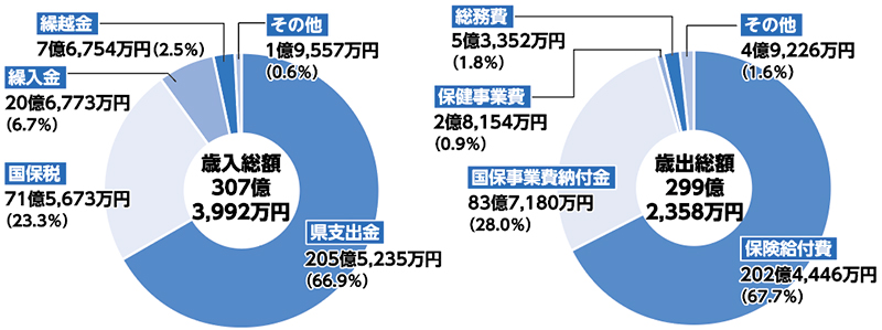 歳入総額307億3,992万円繰越金7億6,754万円(2.5％)繰入金20億6,773万円(6.7％)国保税71億5,673万円(23.3％)県支出金205億5,235万円(66.9％)その他1億9,557万円(0.6％)歳出総額299億2,358万円総務費5億3,352万円(1.8％)保健事業費2億8,154万円(0.9％)国保事業費納付金83億7,180万円(28.0％)保険給付費202億4,446万円(67.7％)その他4億9,226万円(1.6％)