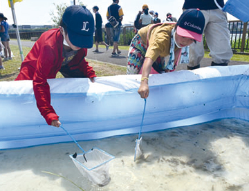 大相模調節池の生き物を観察