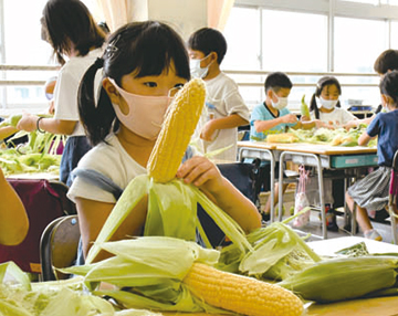 食育の授業でトウモロコシの皮むき体験