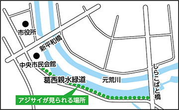葛西親水緑道地図