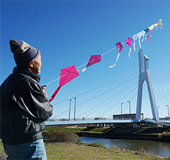 冬の空を彩る連凧