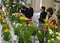 越谷のきれいな花を展示します