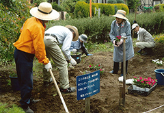 梅林公園ボランティア活動