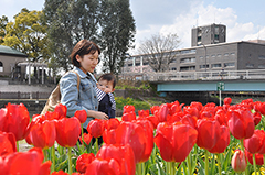 花壇一つひとつに足を止めて水辺の彩りを楽しんでいました