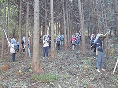 市民の皆さんが植樹した樹木を枝打ちします