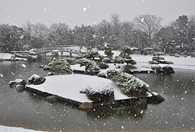 お正月は日本庭園に行ってみませんか