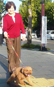 愛犬の散歩をしながら