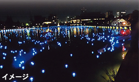 Koshigaya Illumi Lake 2018イメージ