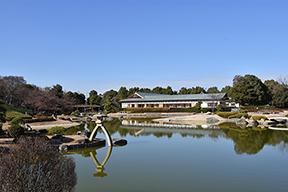 新春の花田苑でくつろぎの時間を過ごしませんか