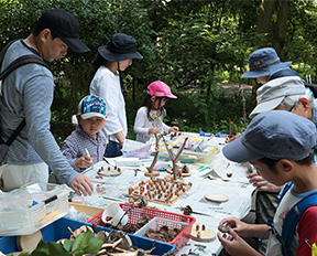 草木や木の実を使った工作