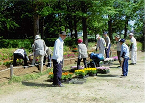 平方公園の除草作業をする公園維持管理団体の皆さん