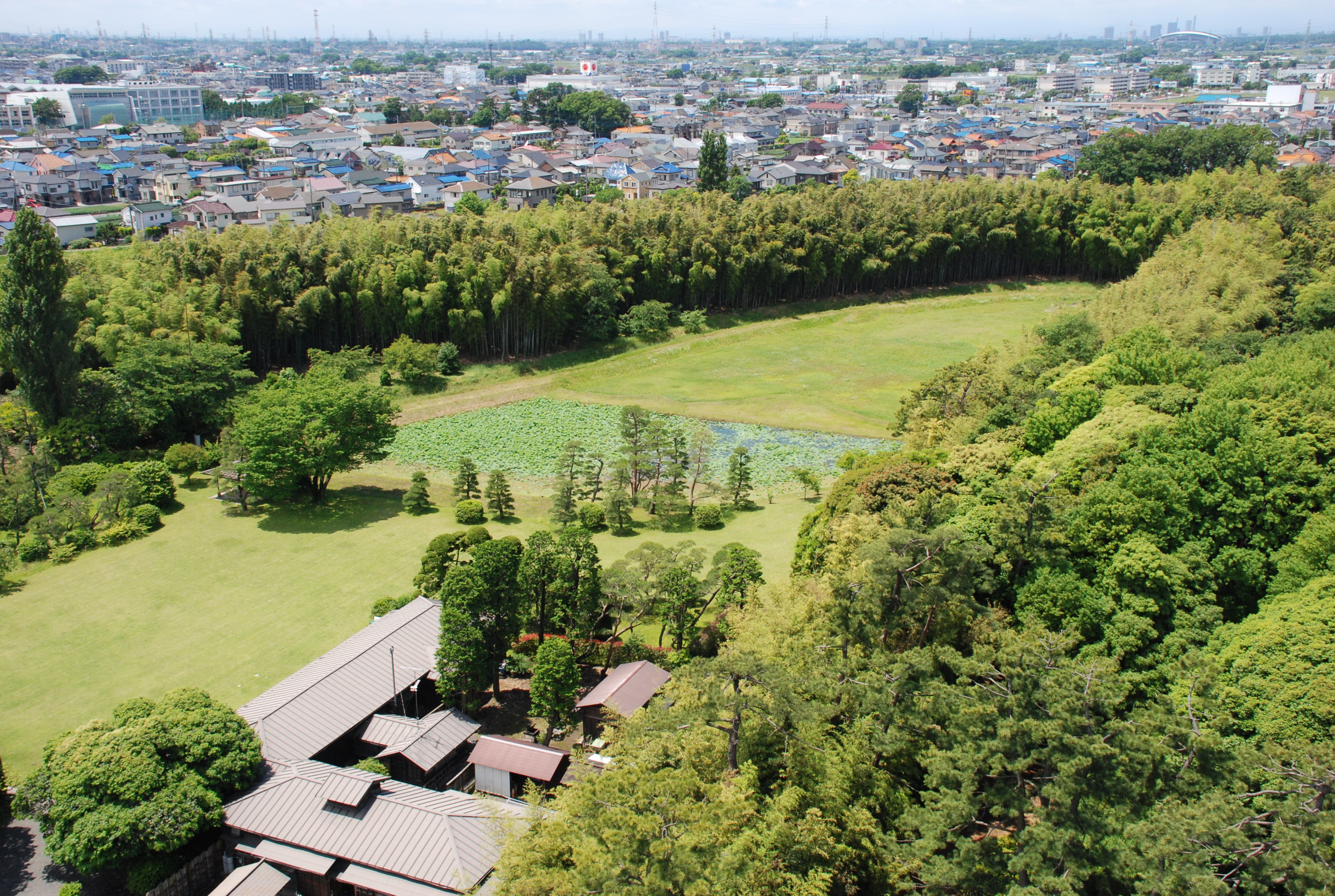 埼玉鴨場