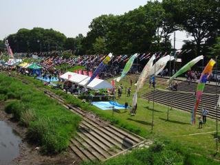 Fudobasi "Koinobori" Festival