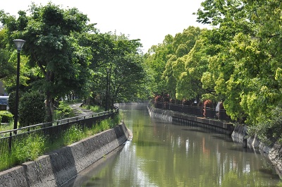 逆川緑道の写真