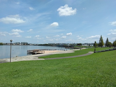 サクラレイク（大相模調節池）の写真